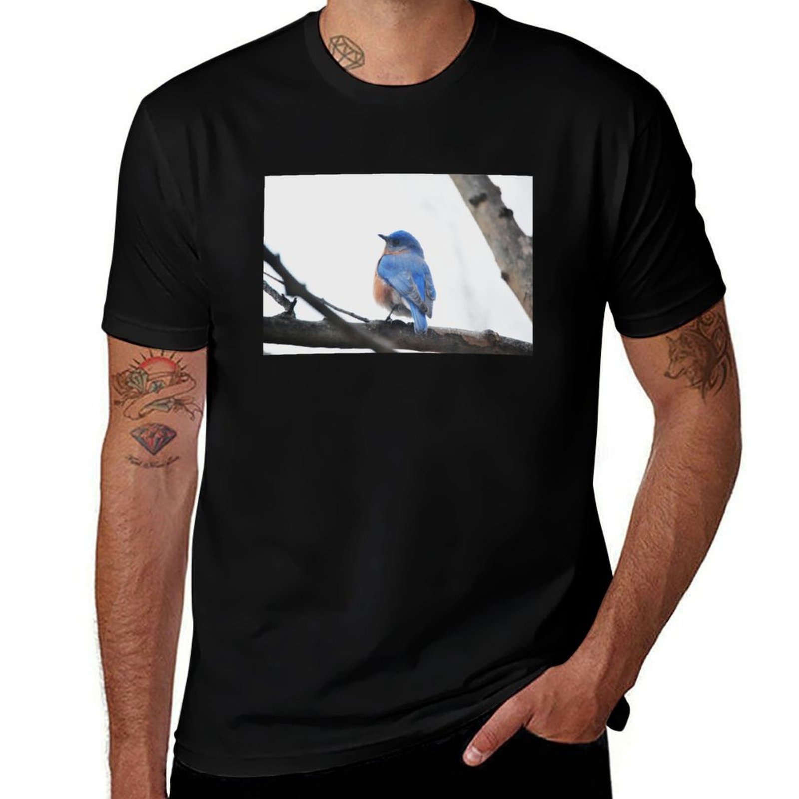 Photography Training - Male Eastern Bluebird Nature Photography T-Shirt