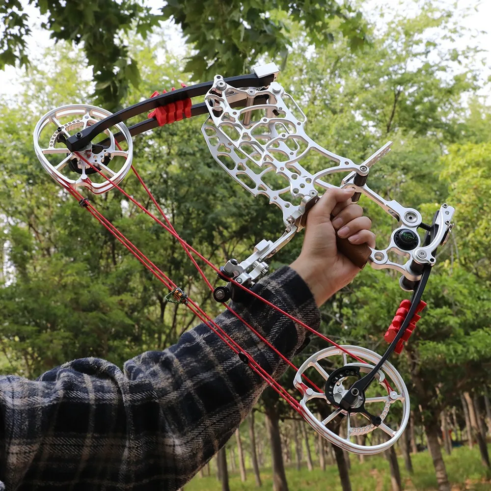Archery Dual Purpose Compound  - Photography Training review and price