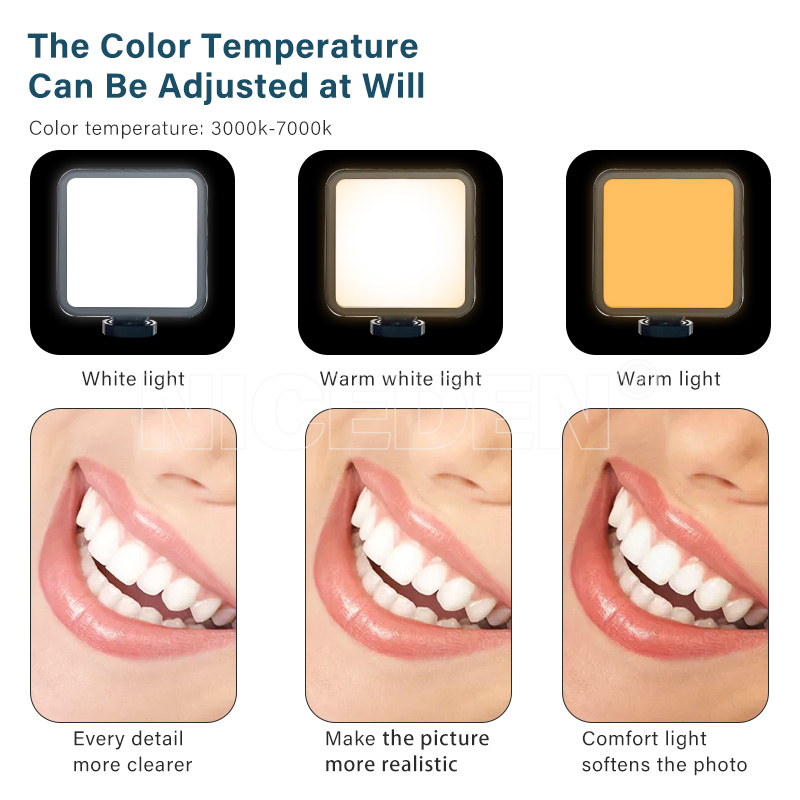 Niceden Dental portable Flash  - Photography Dental review and price