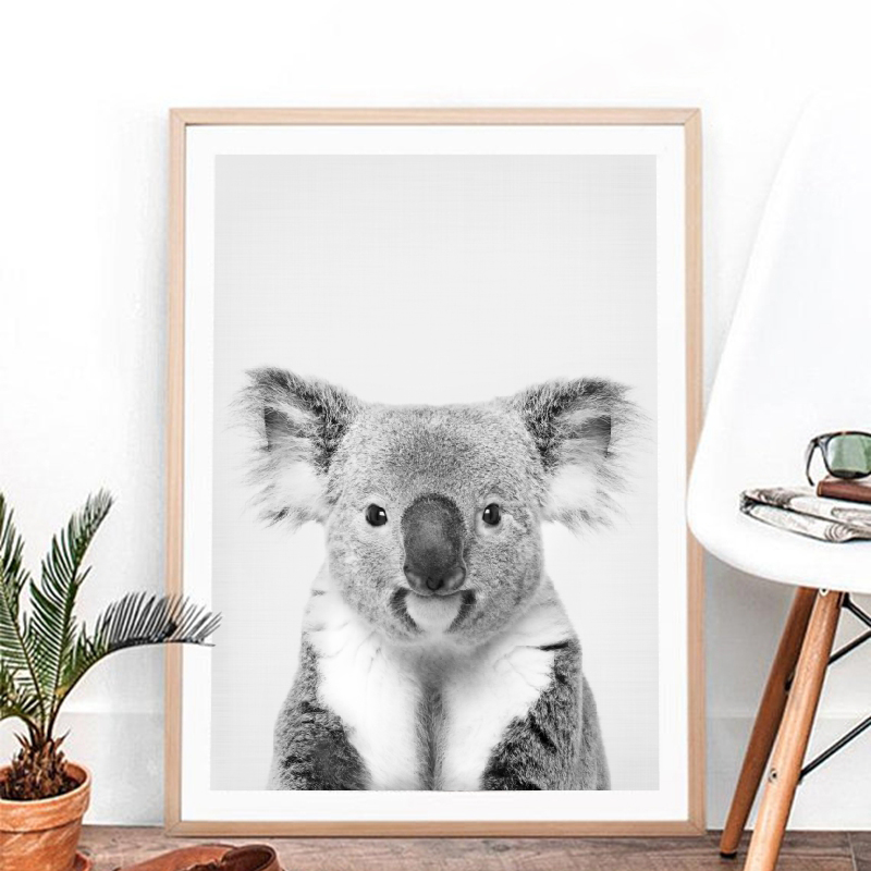 Koala Print Black and White Pi - Photography Zoo review and price