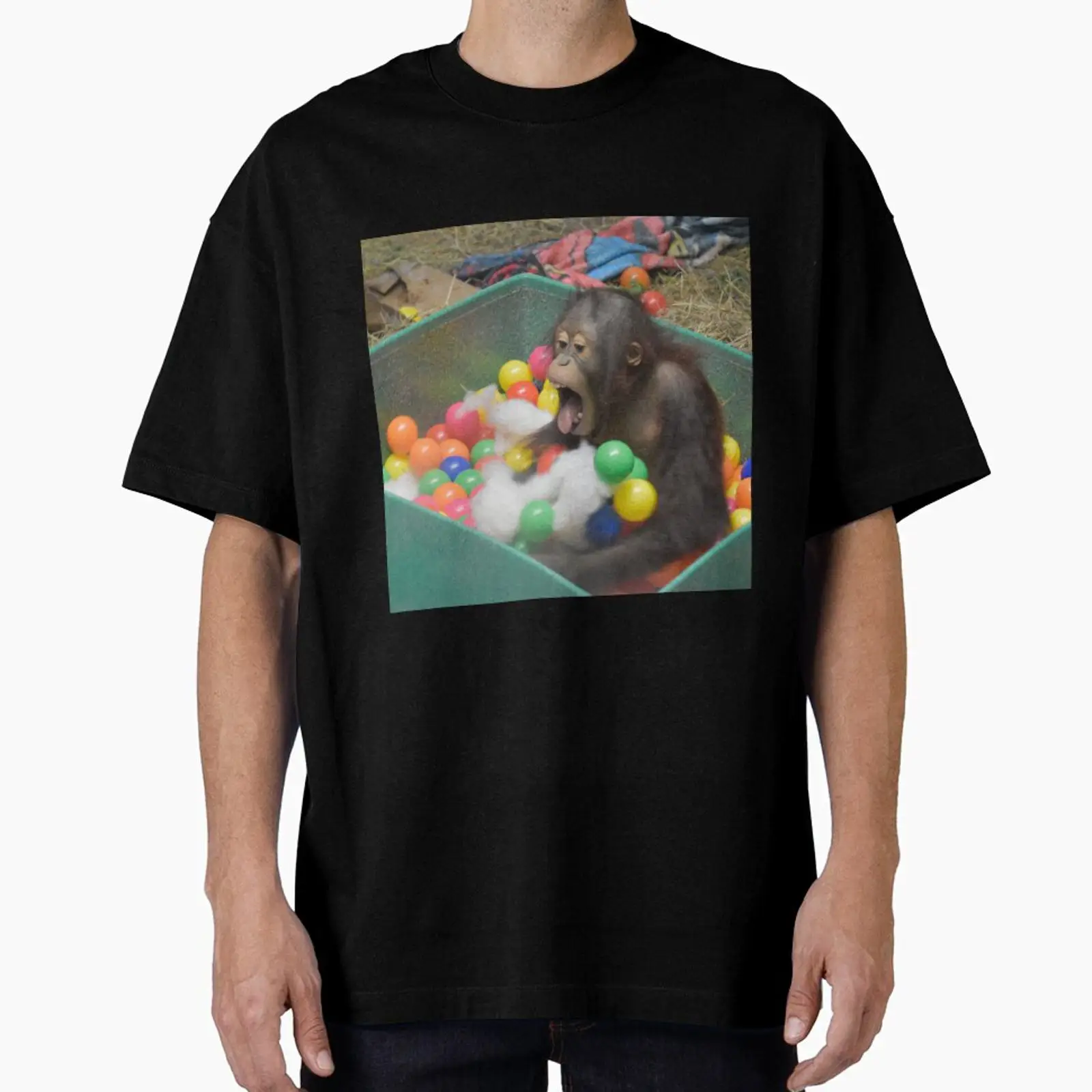 Orangutan Redd at the National - Photography Zoo review and price