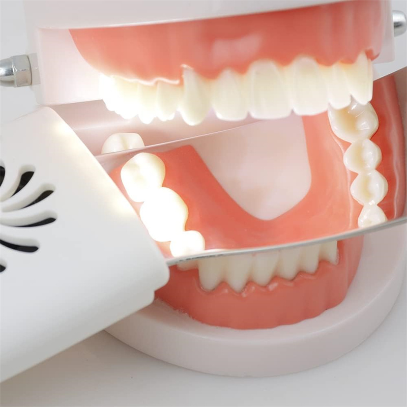 Dental Anti-Fog Mirrors With L - Photography Dental review and price
